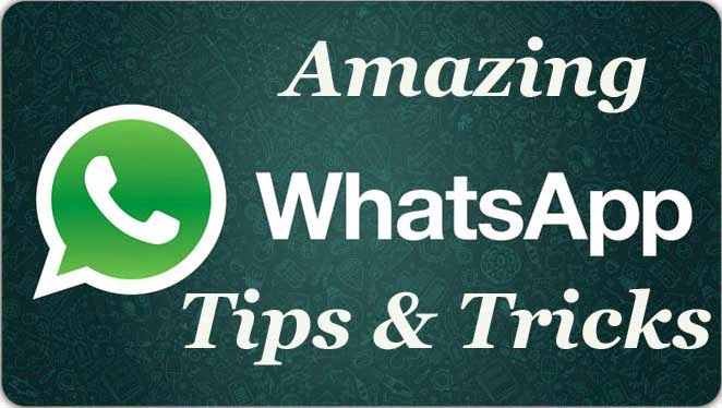 Image result for How can you send whatsapp messages programmatically in android