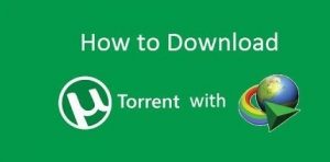 download torrent with idm 