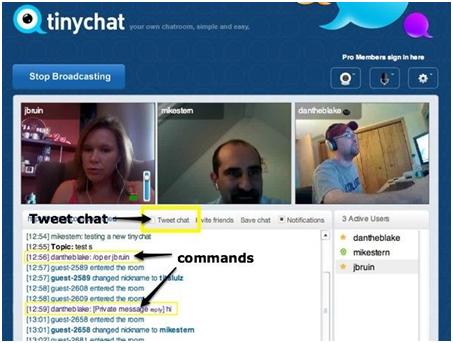 TinyChat