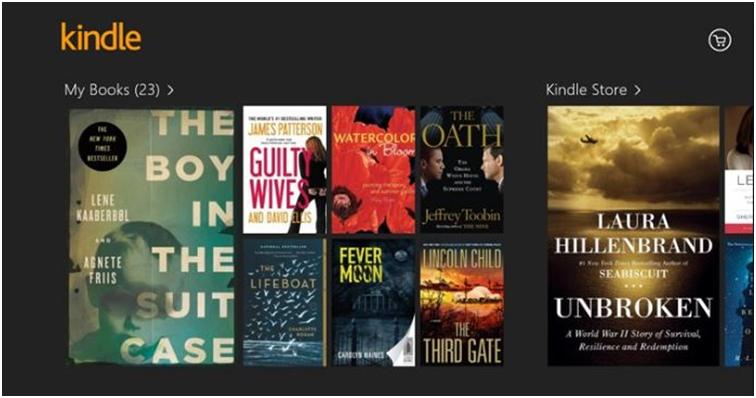 read epub books on kindle