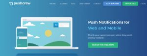 pushcrew push notification services