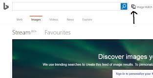 bing-reverse-image-search