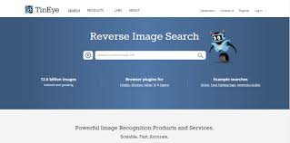 tiny-eye-reverse-image-search