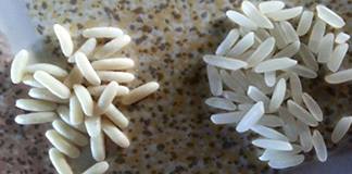 How to Identify Plastic Rice or Fake Rice at home – Tricks and Tips