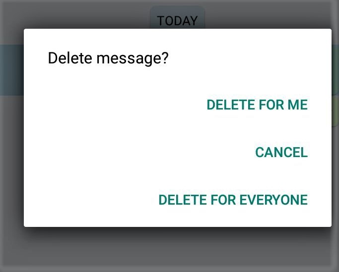 The Latest "Delete for everyone" feature of Whatsapp