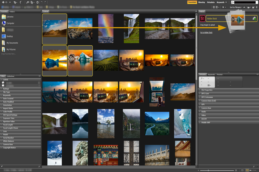 adobe free photo organizer