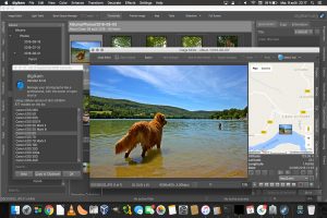video organizer like picktorial video organizer like picktorial
