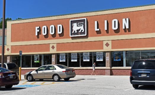  Food Lion Employee Login www MyHR4U Technofizi