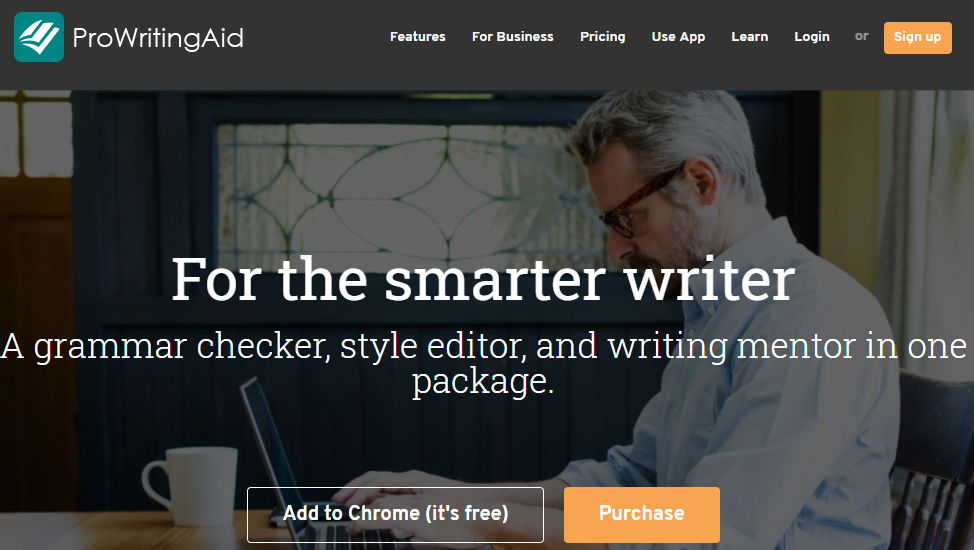 prowritingaid.com