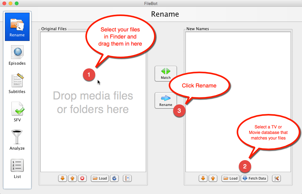 copy filebot settings to a different location