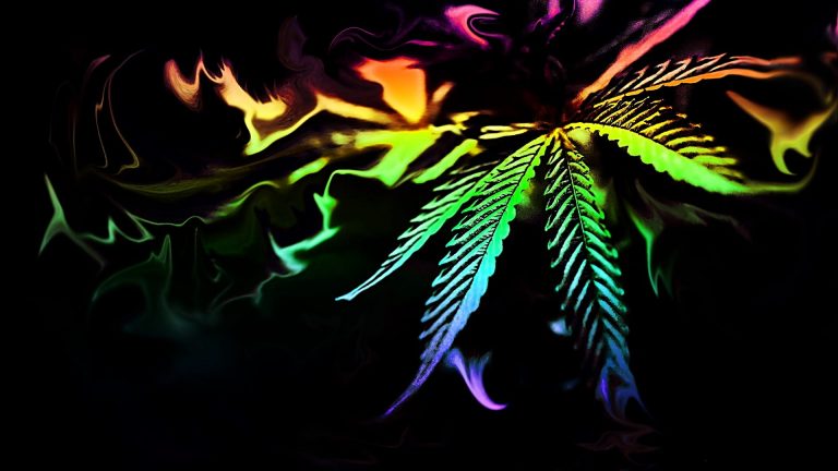 4 Innovative Technologies That Have Transformed The Cannabis Industry
